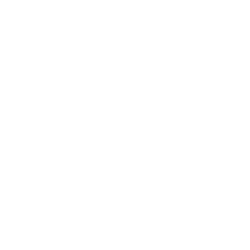Angular-ikon - ekspertise i single-page applikationer